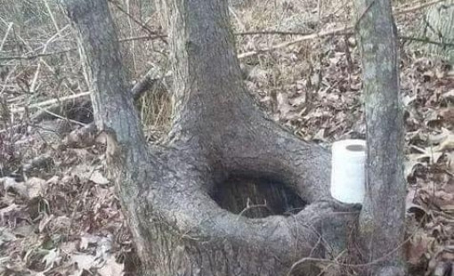 Просьба не сорить