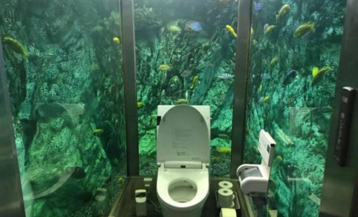 Созерцание прекрасного